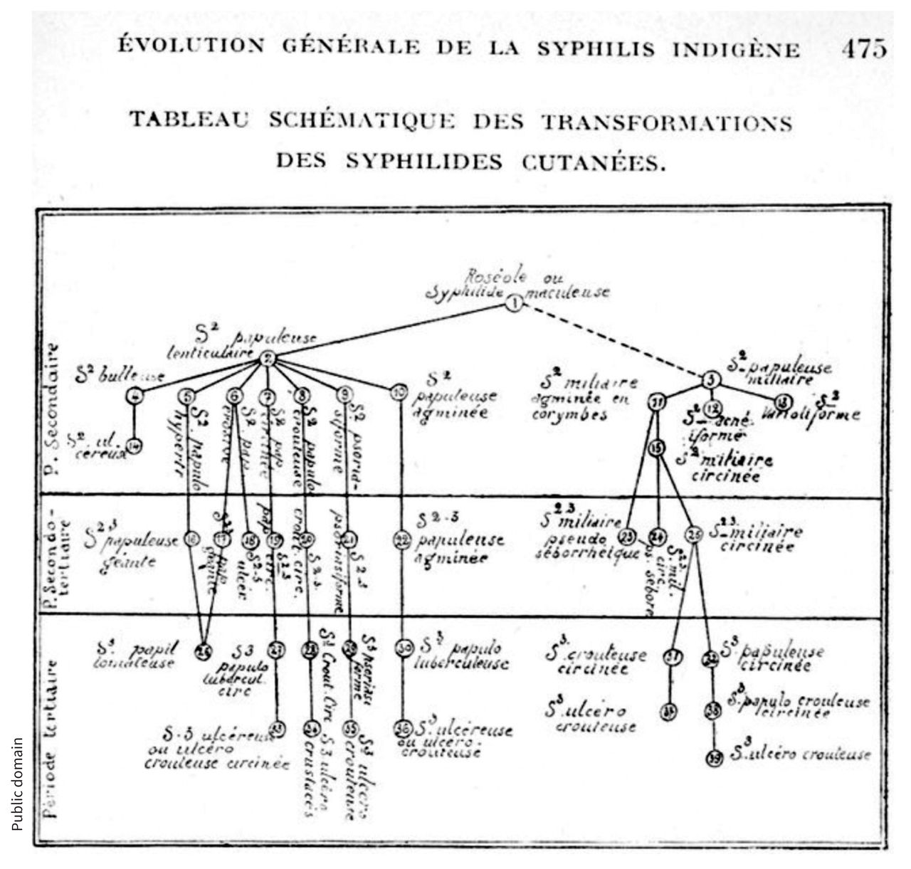 Lacapère’s schematic of the evolution of “Arab syphilis.” From Georges Lacapère, La syphilis arabe: Maroc, Algérie, Tunisie (Paris: Octave Doin; 1923).

Image courtesy of Public domain